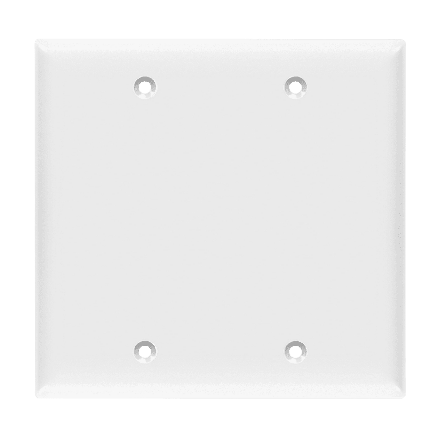 Blank Cover Two-Gang Wall Plate
