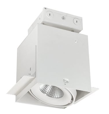 Nora NMRTLG-11 Trimless One Head LED Multiple Lighting System 0-10V Dimming, 120-277V