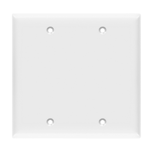 Blank Cover Two-Gang Wall Plate